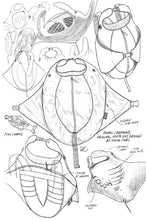 画像をギャラリービューアに読み込む, マンタバックパック L