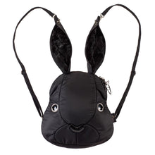 画像をギャラリービューアに読み込む, ラビットバックパック