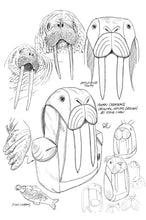 画像をギャラリービューアに読み込む, セイウチバックパック L